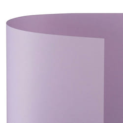 Favini Bristol Color 200 cartone 10 fogli 200 g/m²