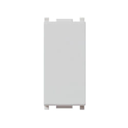 Plana Silver falso modulo 14041.SL - Vimar