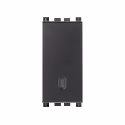 Interruttore 1P 16 AX 250 V illuminabile, tasto sostituibile, grigio. Max 200 W per lampade con alimentatore integrato (IEC 6 ...