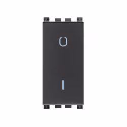 Interruttore 2P 16 AX 250 V~ illuminabile, tasto sostituibile, grigio. Max 200 W per lampade con alimentatore integrato (IEC ...