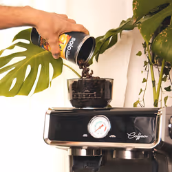 Polti Caffè in grani Uganda SOLO Caffè monorigine - 250gr - Vista aggiuntiva 2