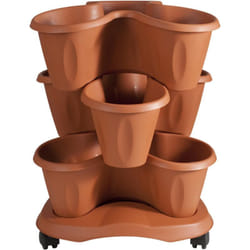 Vaso Trifoglio terracotta - Bama