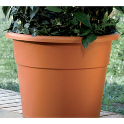 Vaso Hedera Diam.60 Terracotta
