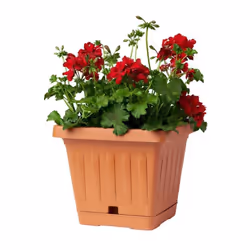 VASO QUADRATO CON SOTTOVASO Colori disponibili: Cotto Dimensioni disponibili: 20x20x16,5h cm Capacità disponibili: 3,5 Lt Ver ...