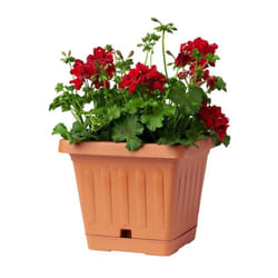 Vaso Terra Quadrato Cotto 20x20 Bama
