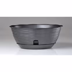 Ciotole complete di sottovaso con invito per l'irrigazione. Caratterizzate dal design della paglia intrecciata, ideali sia pe ...