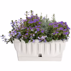 BAMA FIORIERA NATURA IN PLASTICA RETTANGOLARE 40 CM COLORE BIANCO La fioriera rettangolare della linea bama. realizzata inter ...