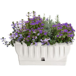 Fioriera natura in plastica rettangolare 40 cm colore bianco - Bama