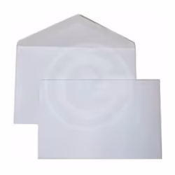 CF.500 BUSTE BIANCHE 18X24 100gr. x1
