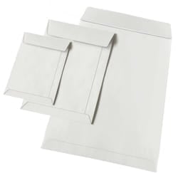 Blasetti 300 busta per materiale multimediale