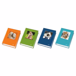 Blasetti Raccoglitore 4 Anelli, A4, Cartoncino, Colori assortiti, 260 mm, 320 mm