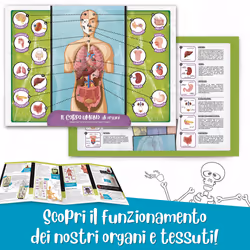 Lisciani I’m A Genius Scienza Pocket Scopri Il Corpo Umano - Vista aggiuntiva 4
