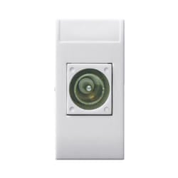 AVE - Presa Tv/Sat domus diretta 1 modulo maschio 441096IM