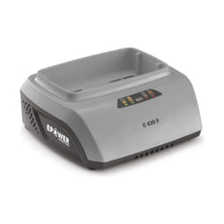 Caricatore fast48v 3ah - Alpina