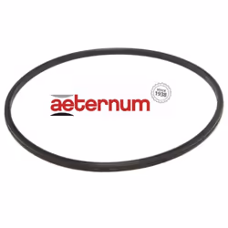 GUARNIZIONE SINGOLA PENTOLA 5LT.AETERNUM N494 N094 812.04.001