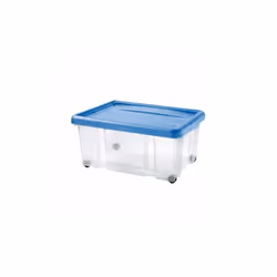 Caratteristiche del prodotto Dodo Box contenitore trasparente con coperchio colorato pieghevole ideale per biancheria, oggett ...