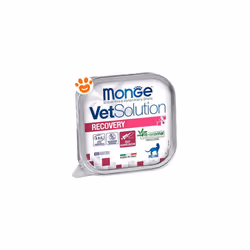 MONGE VETSOLUTION RECOVERY FELINE è un alimento dietetico completo per gatti formulato per promuovere la ripresa nutrizionale ...