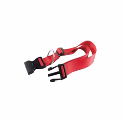I collari per cani in nylon Club hanno un design semplice ed essenziale, sono disponibili in cinque diverse misure pensate pe ...