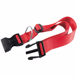 Club c25/70 rosso collare Ferplast