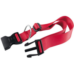 Club c25/70 rosso collare Ferplast
