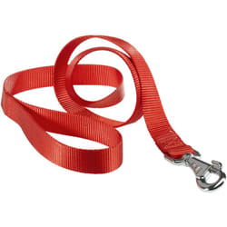 Club G20/120 rosso guinzagli 8010690012308