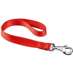 Guinzaglio Club rosso GM25/45