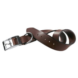 Ferplast VIP C Marrone Pelle Cane Collare standard