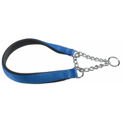 Daytona css Collare a semistrangolo con imbottitura soft. In vari colori e misure.. Variante CSS15/45 - Misure: a: 45 cm - b: 15 mm - Blu - Ferplast