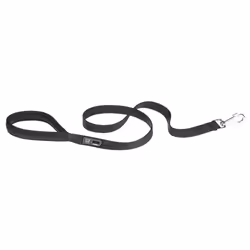 Ferplast Daytona GA, Cane, Guinzaglio educativo, Nero, Nastro, Monocromatico, Nylon