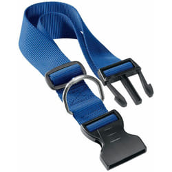 Ferplast - club c Collare in nylon per cani, in varie misure e colori. Variante C40/70 - Misure: a: 45-70 cm b: 40 mm - Blu