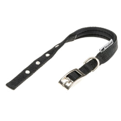 Ferplast Daytona C Nero Nylon Cane Collare standard
