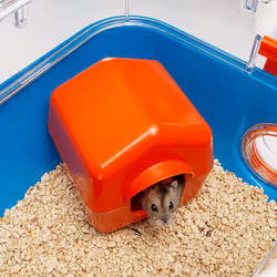 Ferplast Combi 2 Criceto Blu, Trasparente - Vista aggiuntiva 7