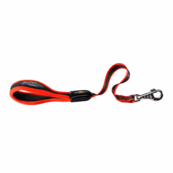 Ferplast Ergocomfort, Cane, Guinzaglio standard, Rosso, Nastro, Monocromatico, 0,55 m