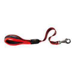 Ferplast Ergocomfort 0,55 m Rosso Cane Guinzaglio standard