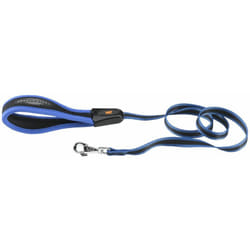 Ferplast - ergocomfort g Guinzaglio in nylon con impugnatura ergonomica - in vari colori e misure. Variante G20/120 - Misure: 20 mm x l 120 cm - Blu