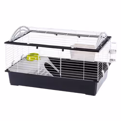 Ferplast Casita 100, Gabbia, Rabit, Grigio talpa, Bianco, Metallo, Plastica, 960 mm, 570 mm