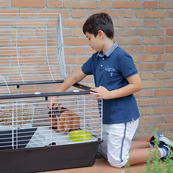 Ferplast Casita 120 Rabit Grigio talpa, Bianco - Vista aggiuntiva 4