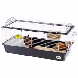 Ferplast Casita 120 Rabit Grigio talpa, Bianco - Vista aggiuntiva 5