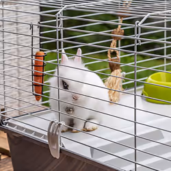 Ferplast Rabbit 100 Porcellino d'india, Rabit Grigio, Bianco - Vista aggiuntiva 6