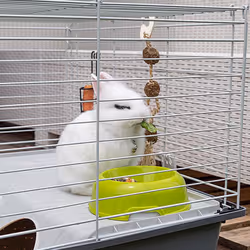 Ferplast Rabbit 100 Porcellino d'india, Rabit Grigio, Bianco - Vista aggiuntiva 7
