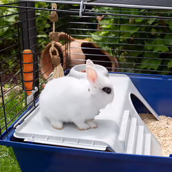 Ferplast Rabbit 120 Coniglio Blu - Vista aggiuntiva 4
