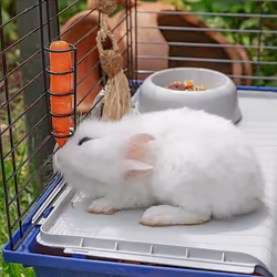 Ferplast Rabbit 120 Coniglio Blu - Vista aggiuntiva 6