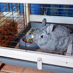 Ferplast Cottage Rabit Pino - Vista aggiuntiva 4