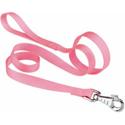 Club g Guinzaglio in nylon per cani, in varie misure e colori. Variante G20/120 - Misure: 20 mm x l 120 cm - Rosa - Ferplast