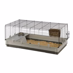 Ferplast Krolik X-Large Porcellino d'india, Rabit Grigio - Vista aggiuntiva 4