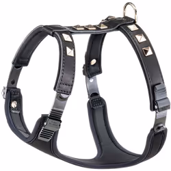 Giotto Luxor è una pettorina per cani in vera pelle decorata con borchie argentate. È realizzata in pelle robusta e resistent ...