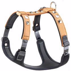 Giotto Luxor Beige è una pettorina in pelle naturale a vestibilità perfetta per cani anche di taglia molto grossa. È disponib ...