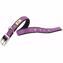 Dual CF Colours sono collari per cani in nylon resistente con fibbia in metallo cromato. Si adatteranno perfettamente ai vost ...