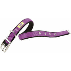 Dual cf colours Collare per cani con fibbia in metallo, 4 misure e 4 colori. Variante CF25/53 - Misure: a: 45-53 cm b: 25 mm - Viola - Ferplast