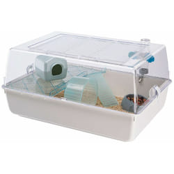 Ferplast - mini duna hamster Gabbia per roditori mini duna hamster: adatta a Criceti, Topolini, design italiano, accessori inclusi. . Variante